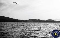 Workshop fotografico Lago Trasimeno con Click in Umbria